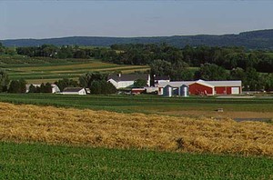 The Rodale Institute