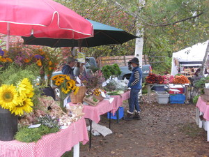 Stowe Farmers Market