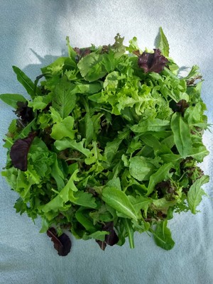 Mon Soleil Market Garden