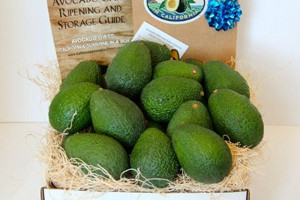California Avocados Direct