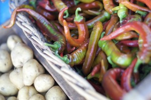 Ecology Center Farmers' Markets
