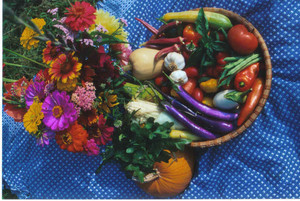 Sylvanus Farm CSA