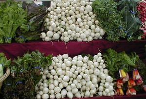 Deep Roots Farm