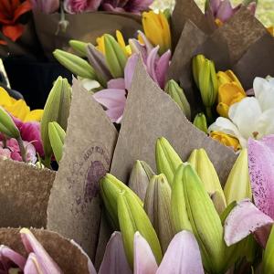 Flower Shower Farm
