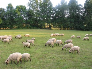 Touchstone Farm