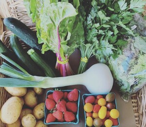 Riverland Family Farms