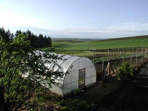 MaryJanesFarm