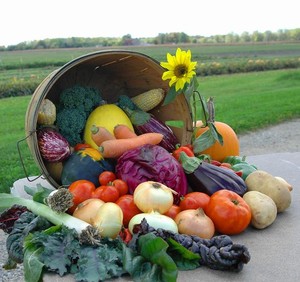East River Organic Farm