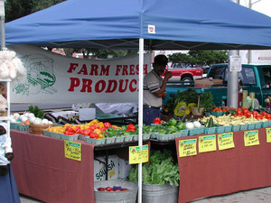 Dade City Woman's Club Farmer's Market