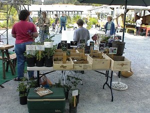 Bayview Farmers Market