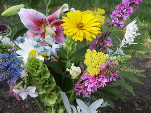 Dorian Hill Flower Farm