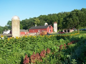 Howling Wolf Farm