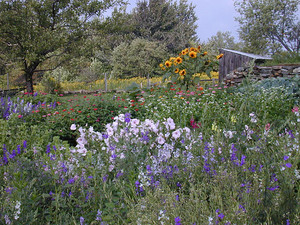 West Branch Flower Farm