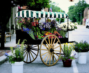 Roanoke Farmers' Market