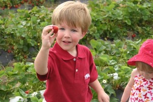 Wild Things Farm