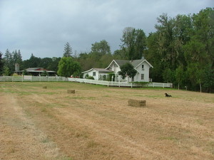 Lake View Farm