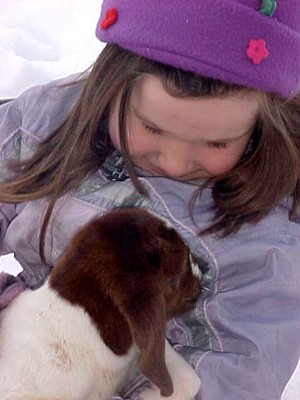 Shaggyhill Farm & Feed, LLC