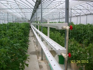 Green Arrow Farms