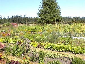 Fertile Acres