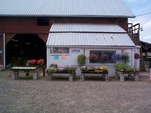 Bremer's Corner