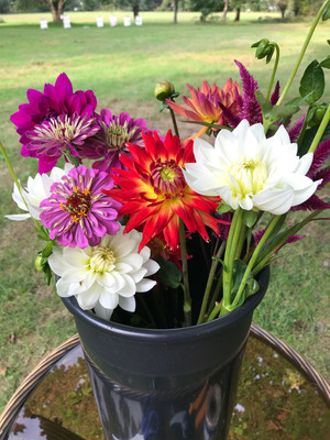 Duchess Farms