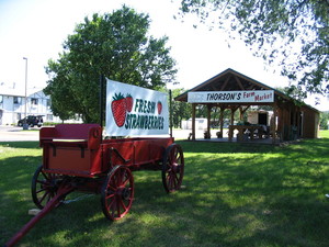 Thorson's Farm Fresh Produce