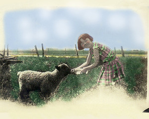 Betty Acres Organic Farm
