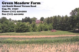 Green Meadow Farm