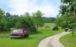 Garden Patch Farm