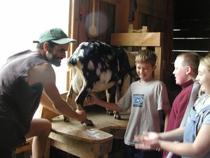 Laughing Dog Farm