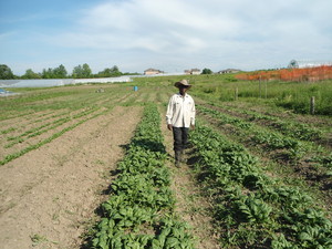 avofarm