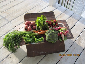 Avalon Acres Farms