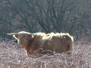 Beaverhead Farm