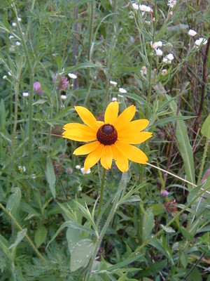 McMaine's Riverhaven Farm