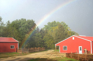 Country Haven Farm