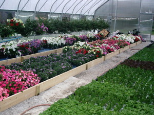 Cleary Hill Farm Produce