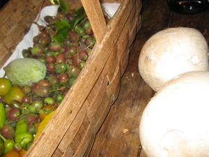 Stone Cloud Gardens Ltd.
