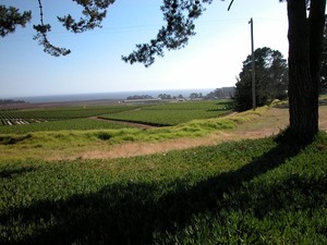 Panua Farms