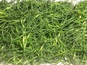 Genna-rations Farm