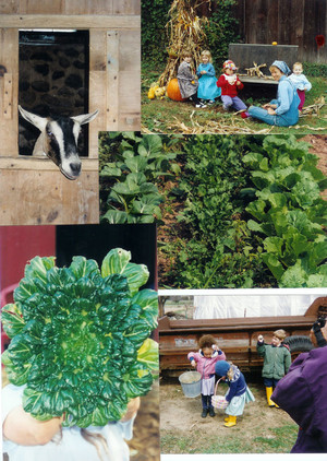 Community Farm of Ann Arbor