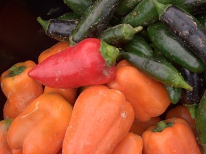 The Lewisburg Farmers' Market