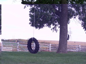 Pooley's Pumpkin Patch