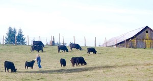 Clear Valley Farm