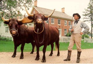 Garfield Farm Museum