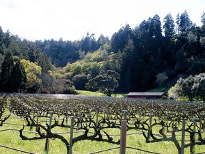 Tres Sabores Ranch Winery