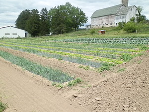 Wellhausen Farm