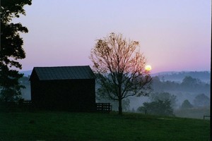 Colcannon Farm, LLC