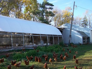 Callister Family Farm LLC