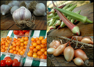 Pierpont Farms