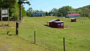 Buffalo Creek Farm